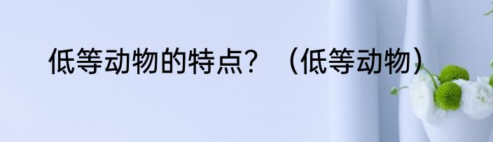 低等动物的特点？（低等动物）