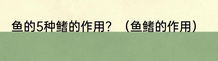 鱼的5种鳍的作用？（鱼鳍的作用）