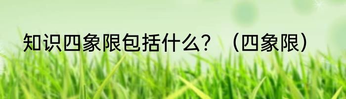 知识四象限包括什么？（四象限）