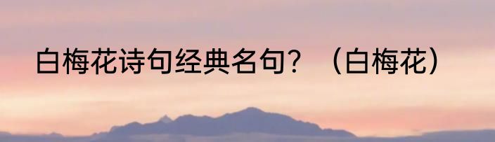 白梅花诗句经典名句？（白梅花）
