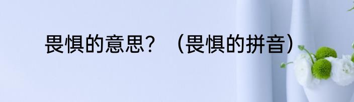 畏惧的意思？（畏惧的拼音）
