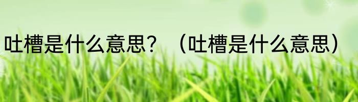 吐槽是什么意思？（吐槽是什么意思）