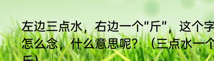 左边三点水，右边一个“斤”，这个字怎么念，什么意思呢？（三点水一个斤）