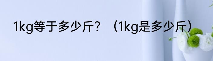1kg等于多少斤？（1kg是多少斤）