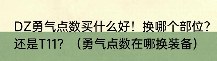DZ勇气点数买什么好！换哪个部位？还是T11？（勇气点数在哪换装备）