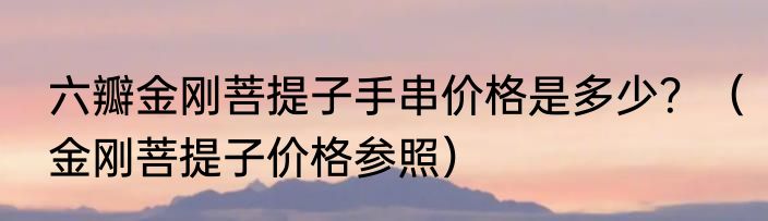 六瓣金刚菩提子手串价格是多少？（金刚菩提子价格参照）
