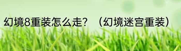 幻境8重装怎么走？（幻境迷宫重装）