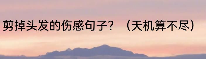 剪掉头发的伤感句子？（天机算不尽）