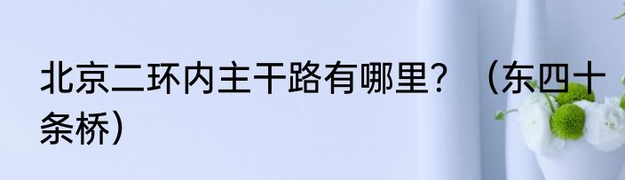 北京二环内主干路有哪里？（东四十条桥）