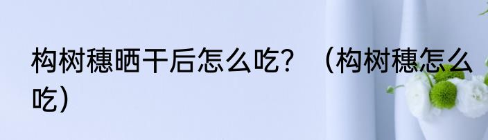构树穗晒干后怎么吃？（构树穗怎么吃）