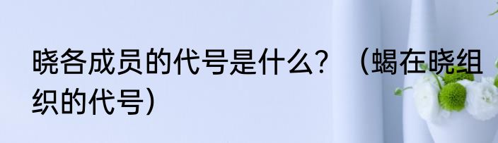 晓各成员的代号是什么？（蝎在晓组织的代号）