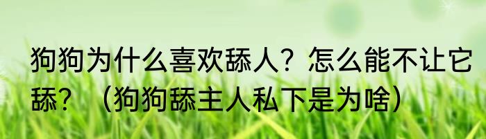 狗狗为什么喜欢舔人？怎么能不让它舔？（狗狗舔主人私下是为啥）