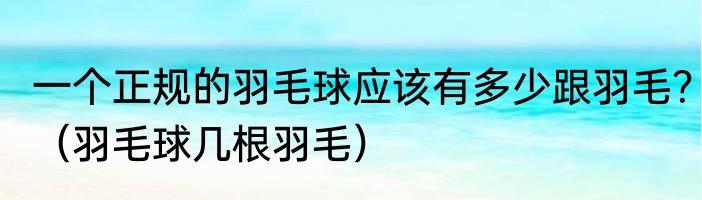 一个正规的羽毛球应该有多少跟羽毛？（羽毛球几根羽毛）