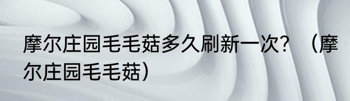 摩尔庄园毛毛菇多久刷新一次？（摩尔庄园毛毛菇）