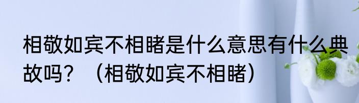 相敬如宾不相睹是什么意思有什么典故吗？（相敬如宾不相睹）