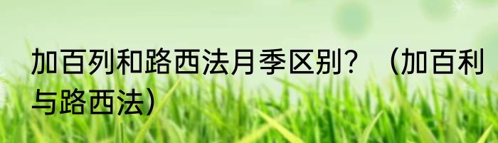 加百列和路西法月季区别？（加百利与路西法）