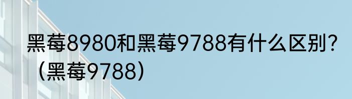 黑莓8980和黑莓9788有什么区别？（黑莓9788）