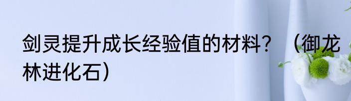 剑灵提升成长经验值的材料？（御龙林进化石）