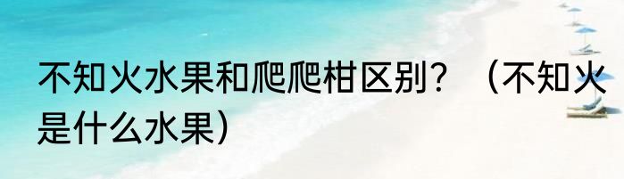 不知火水果和爬爬柑区别？（不知火是什么水果）