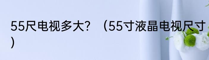55尺电视多大？（55寸液晶电视尺寸）