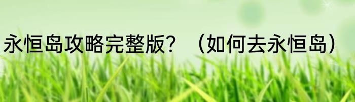 永恒岛攻略完整版？（如何去永恒岛）