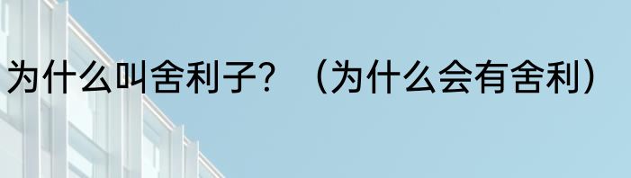 为什么叫舍利子？（为什么会有舍利）