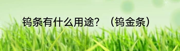 钨条有什么用途？（钨金条）