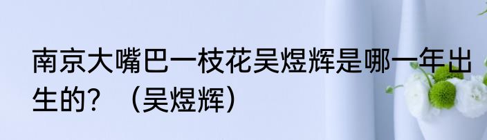 南京大嘴巴一枝花吴煜辉是哪一年出生的？（吴煜辉）