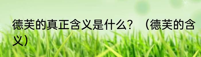 德芙的真正含义是什么？（德芙的含义）