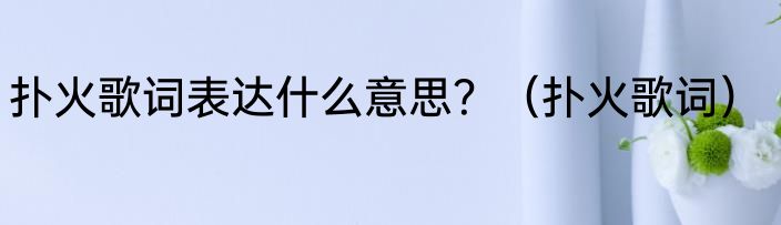 扑火歌词表达什么意思？（扑火歌词）