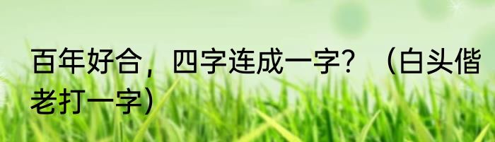 百年好合，四字连成一字？（白头偕老打一字）