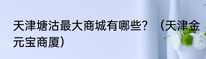天津塘沽最大商城有哪些？（天津金元宝商厦）