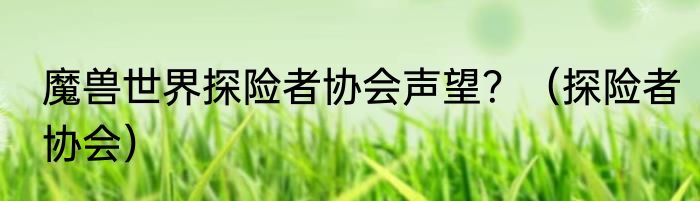 魔兽世界探险者协会声望？（探险者协会）