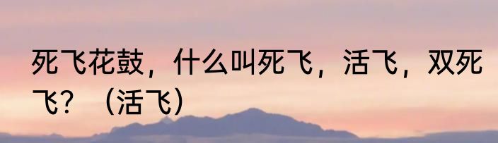死飞花鼓，什么叫死飞，活飞，双死飞？（活飞）