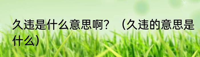 久违是什么意思啊？（久违的意思是什么）