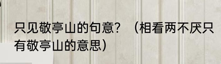 只见敬亭山的句意？（相看两不厌只有敬亭山的意思）
