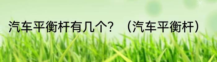 汽车平衡杆有几个？（汽车平衡杆）