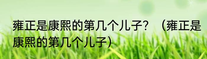 雍正是康熙的第几个儿子？（雍正是康熙的第几个儿子）
