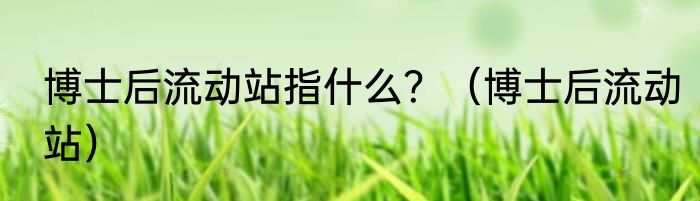 博士后流动站指什么？（博士后流动站）