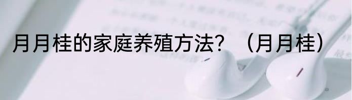 月月桂的家庭养殖方法？（月月桂）