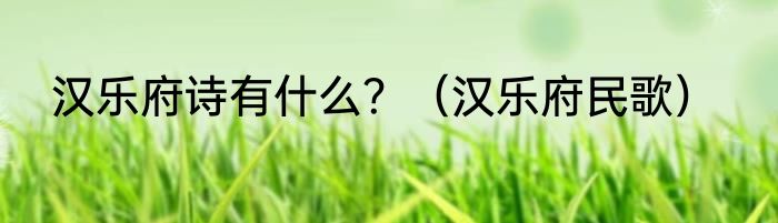 汉乐府诗有什么？（汉乐府民歌）