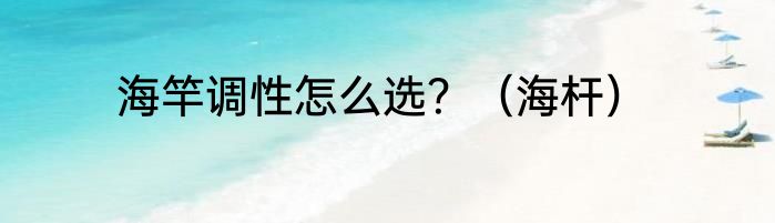 海竿调性怎么选？（海杆）