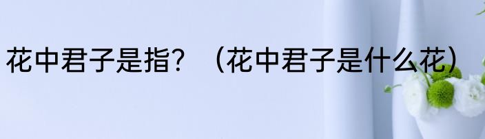 花中君子是指？（花中君子是什么花）