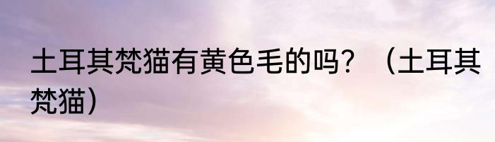 土耳其梵猫有黄色毛的吗？（土耳其梵猫）