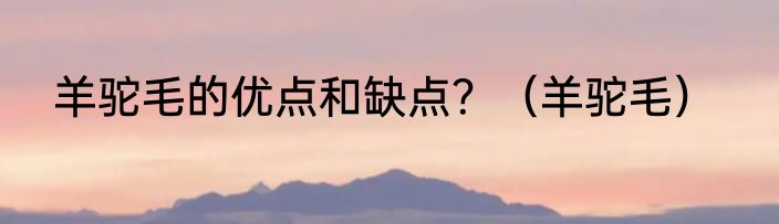 羊驼毛的优点和缺点？（羊驼毛）