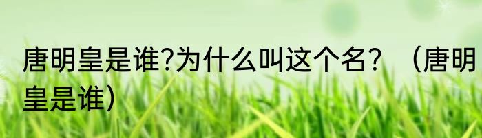 唐明皇是谁?为什么叫这个名？（唐明皇是谁）