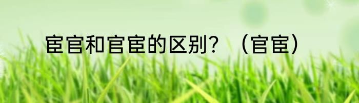 宦官和官宦的区别?(官宦)