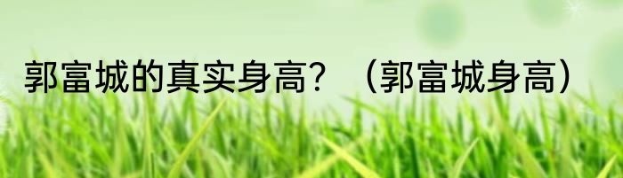 郭富城的真实身高？（郭富城身高）