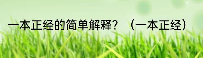 一本正经的简单解释？（一本正经）