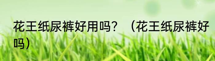 花王纸尿裤好用吗？（花王纸尿裤好吗）